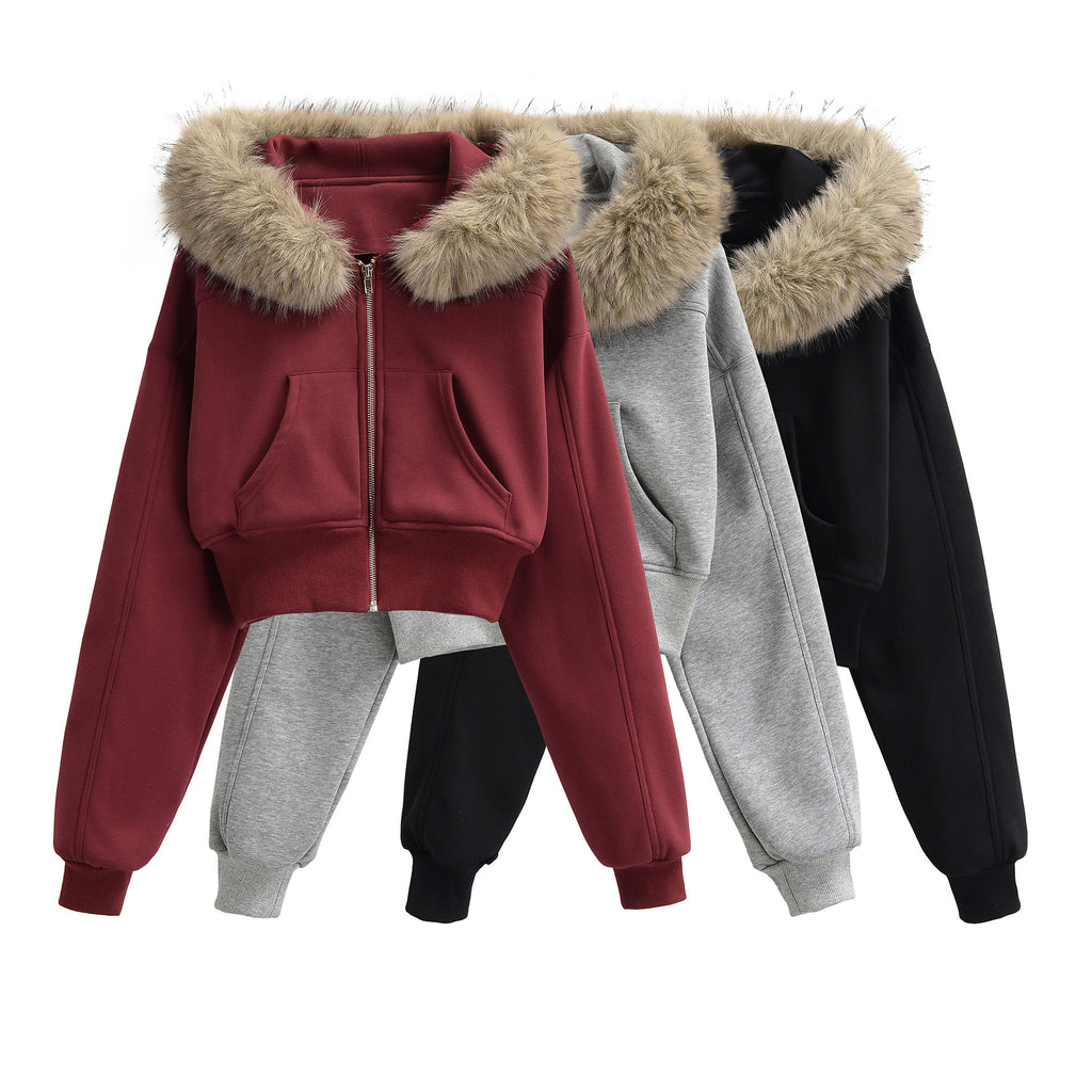 Warm zipper sweatshirt jacket